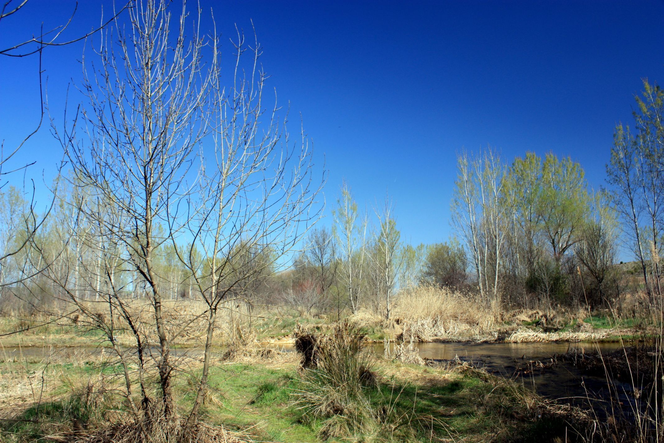 en el rio de Daganzo