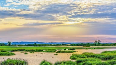 Panoramic landscape scenery of marsh wetland full of grass with heron looking for fish during sunset at Thalaynoi, Phatthalung, Thailand
