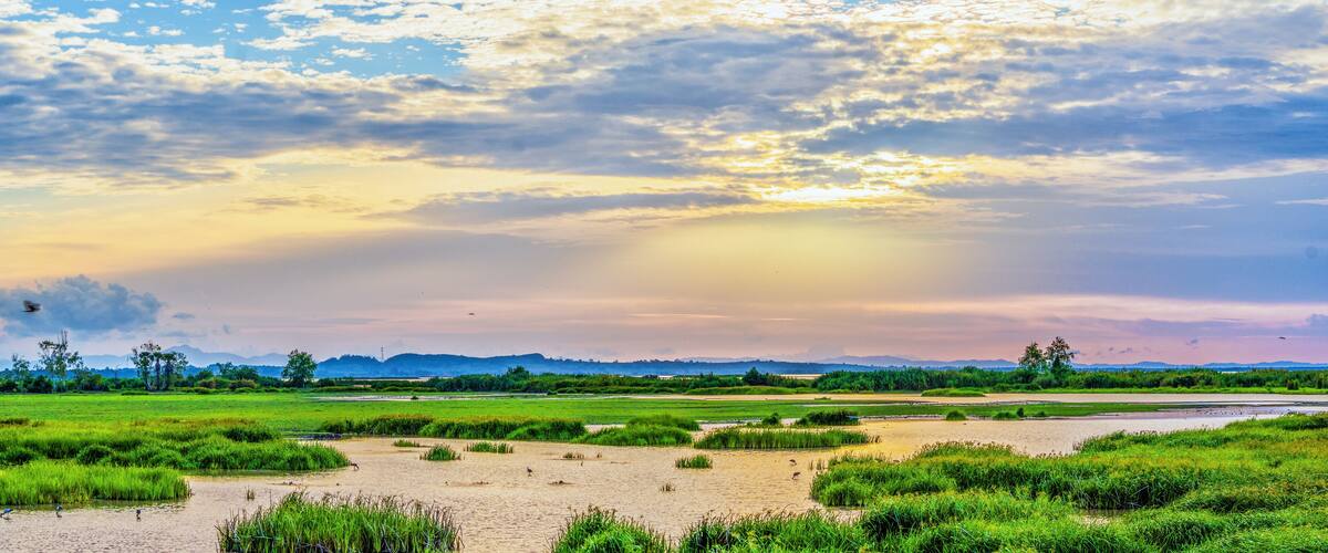 A riverbank with green vegetation and a cloudy sky.