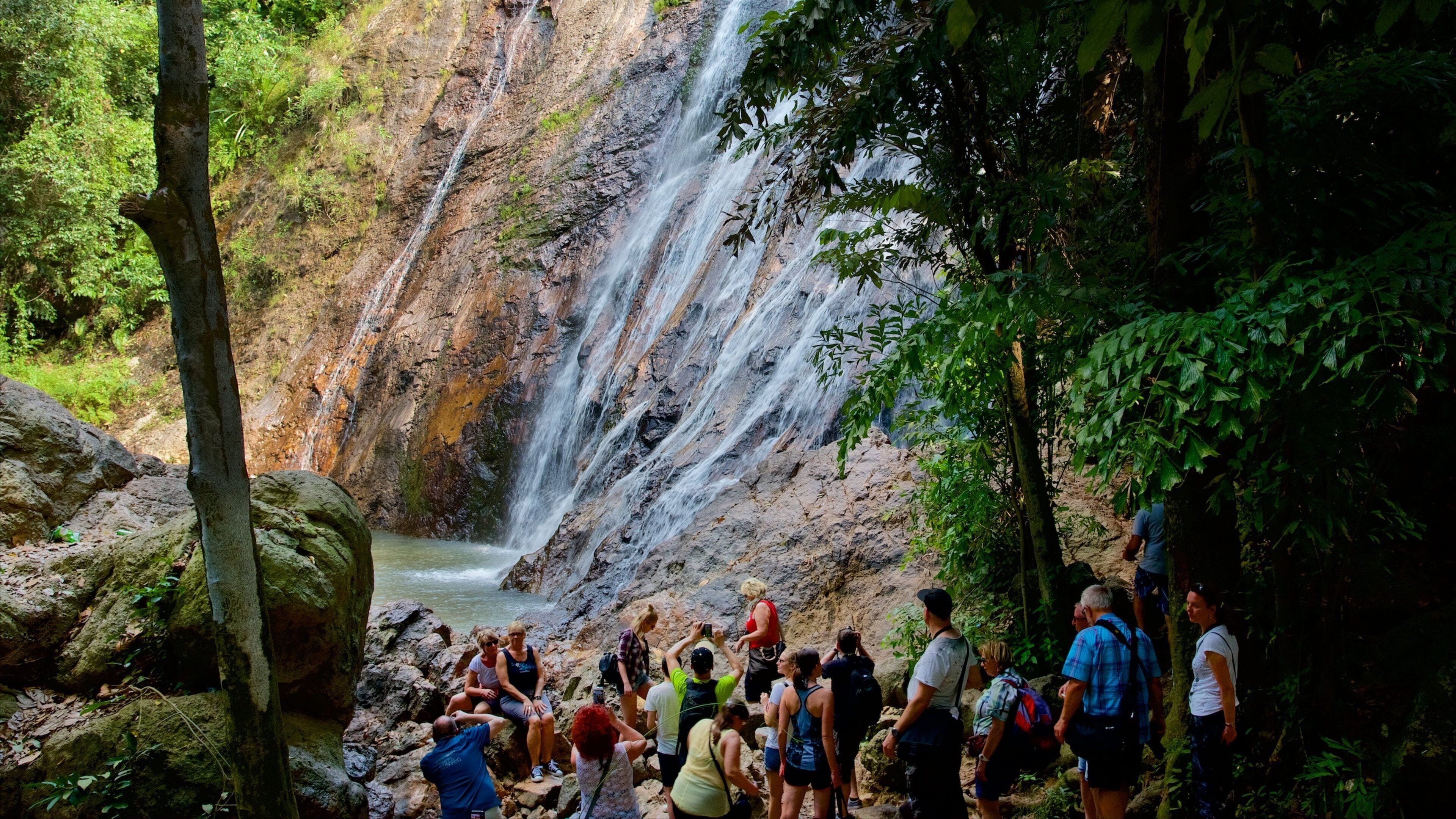 Surat Thani featuring a waterfall as well as a large group of people