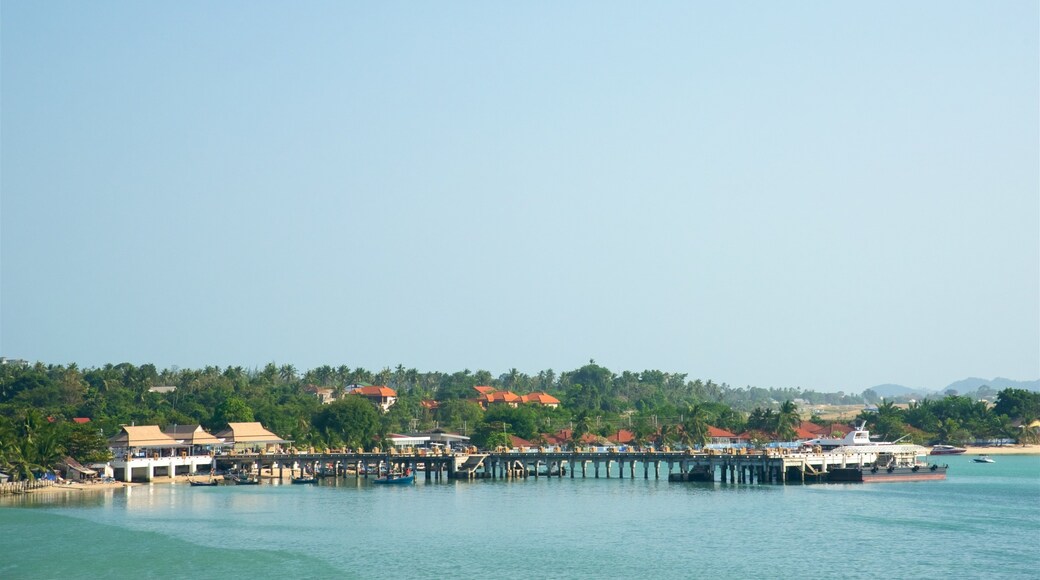 Surat Thani featuring a bay or harbor