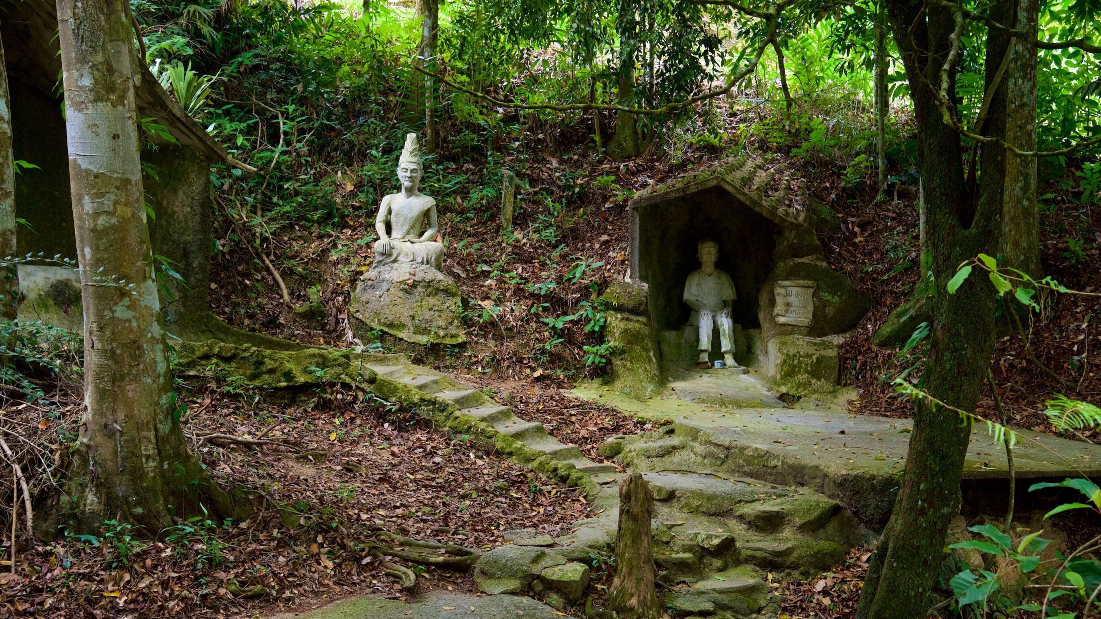 Surat Thani which includes a park and forest scenes