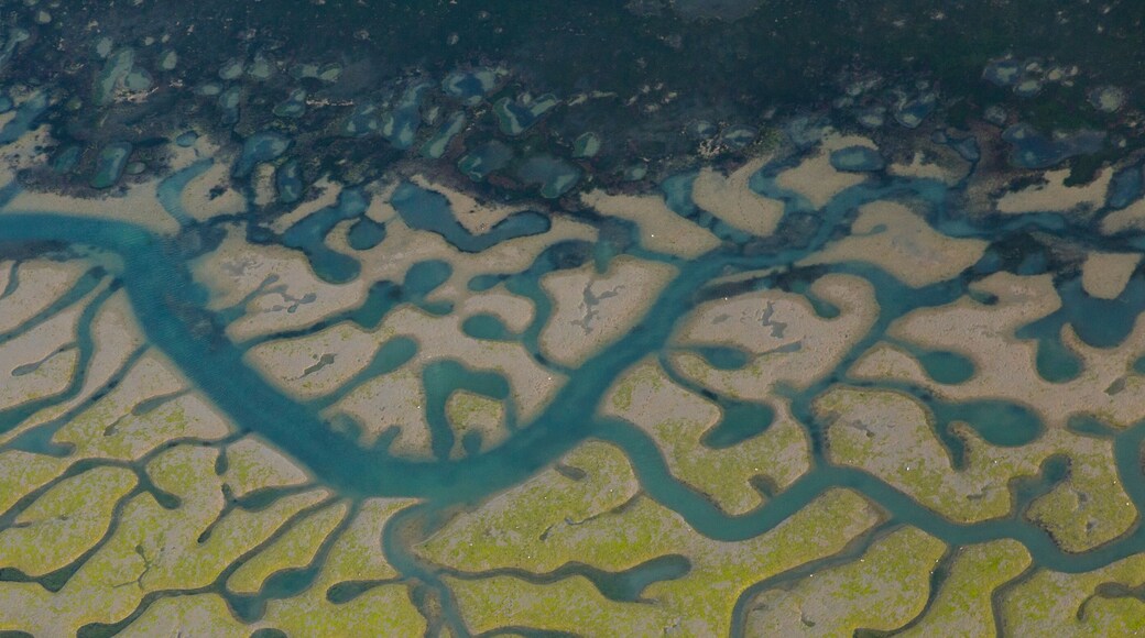 Aerial view, marshlands, Bahia de Cadiz Natural Park. Costa de la Luz, Cadiz province, Andalucia, Spain