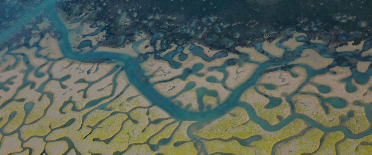 A coastal landscape with intricate sand patterns and a winding water channel.