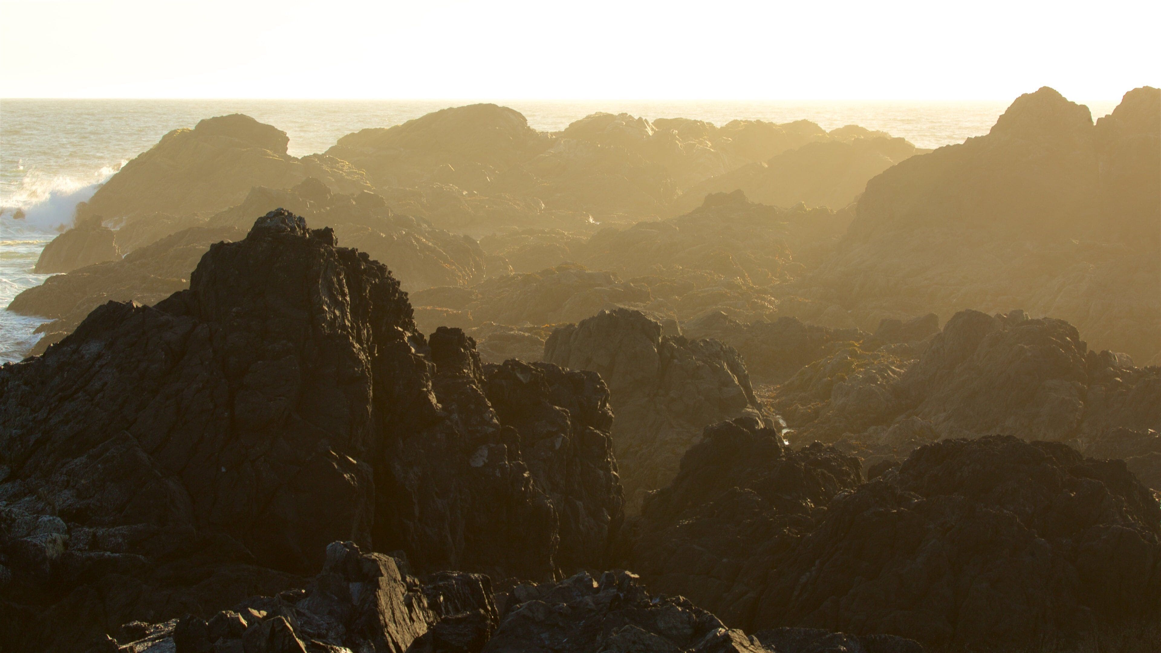 Wild Pacific Trail which includes general coastal views, rocky coastline and a sunset