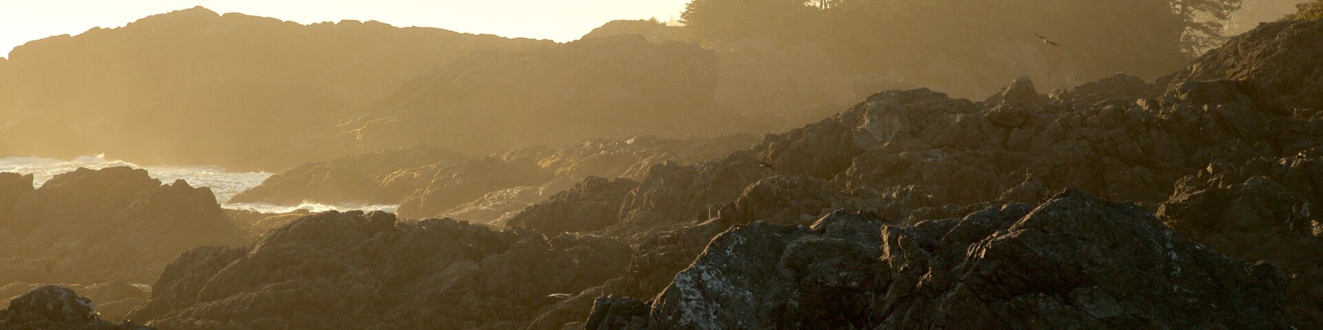 Wild Pacific Trail das einen Sonnenuntergang, schroffe Küste und Landschaften