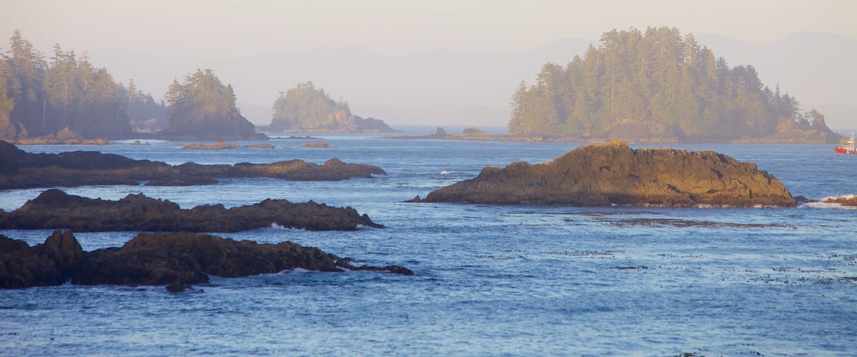 Wild Pacific Trail which includes general coastal views and rocky coastline