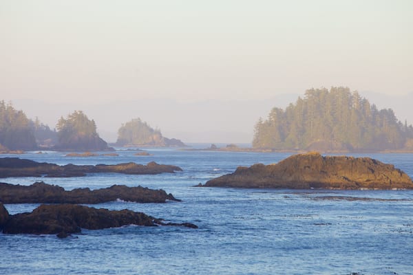 Sendero Wild Pacific mostrando litoral accidentado y vistas de una costa