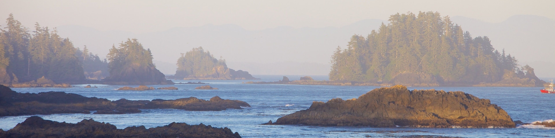 Wild Pacific Trail mostrando paisagens litorâneas e litoral rochoso