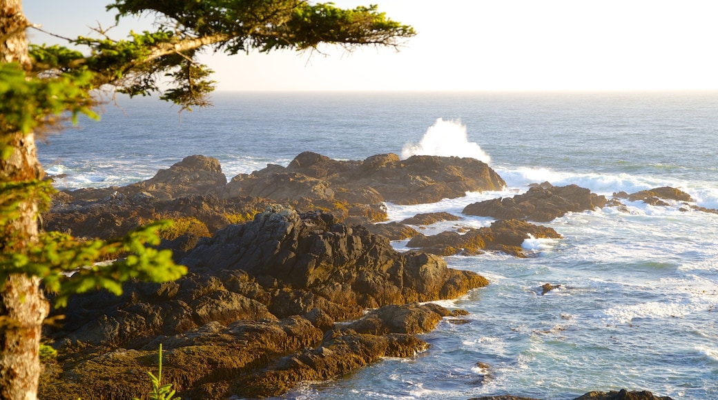 Sendero Wild Pacific que incluye costa escarpada