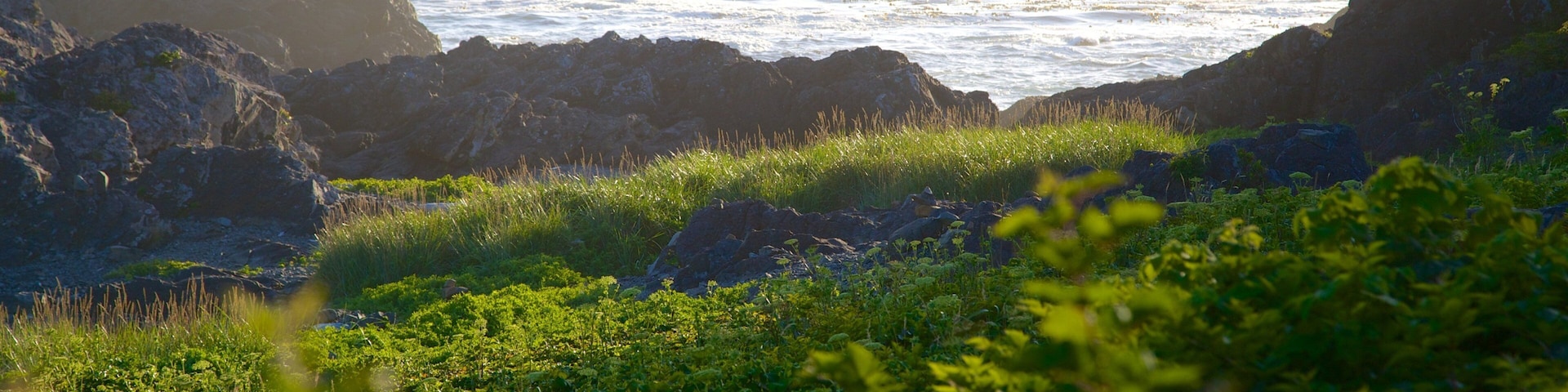 Wild Pacific Trail featuring rocky coastline and general coastal views