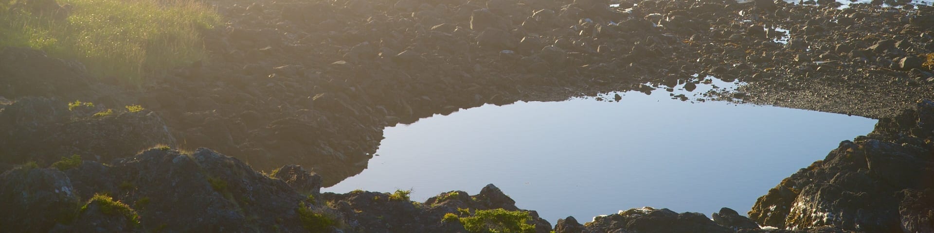 Wild Pacific Trail showing rugged coastline, mist or fog and general coastal views
