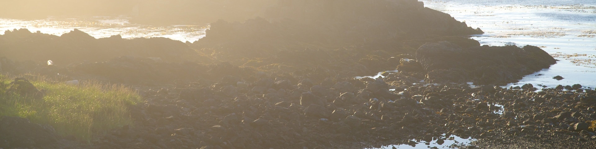 太平洋荒野步道