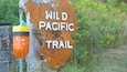 A rusted wooden sign with the text "WILD PACIFIC TRAIL".