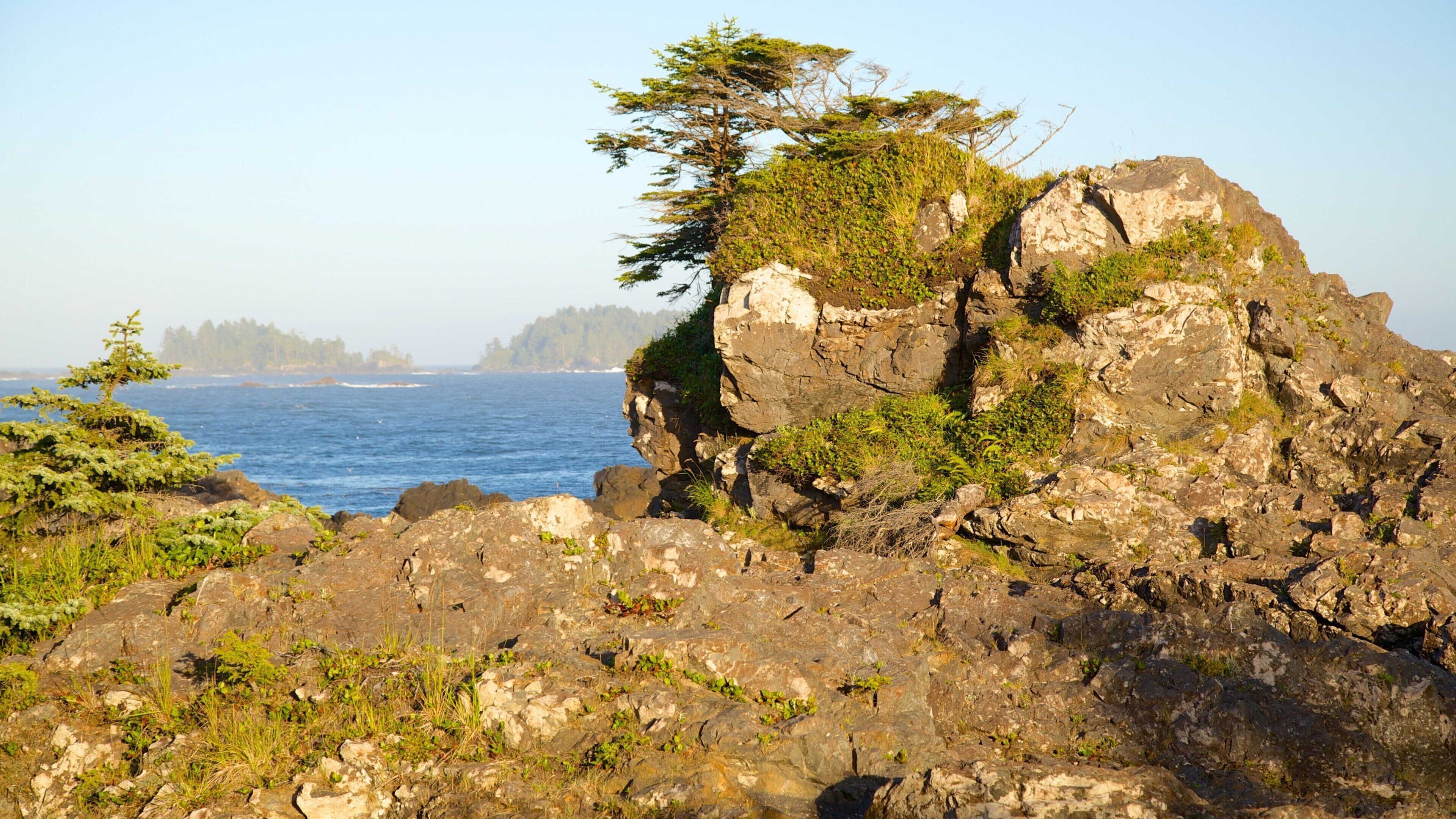 Wild Pacific Trail showing rocky coastline and general coastal views