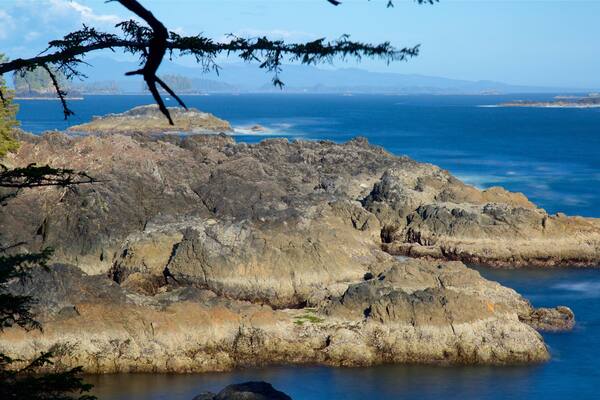 Sendero Wild Pacific ofreciendo litoral rocoso