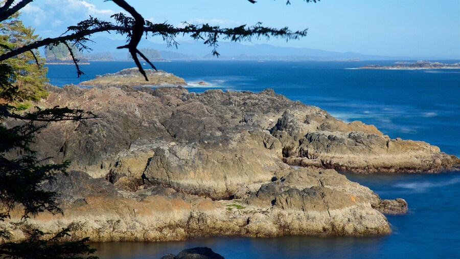 Wild Pacific Trail which includes rugged coastline