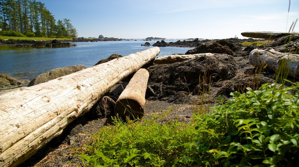 Ucluelet Big Beach showing general coastal views and a river or creek