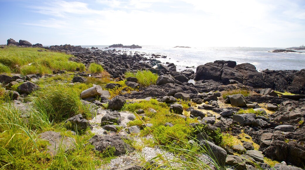 Ucluelet Big Beach featuring rugged coastline