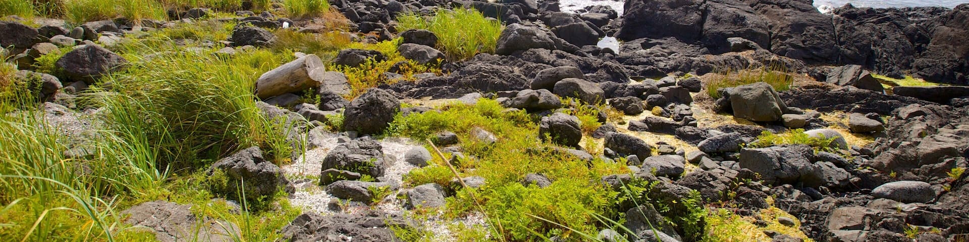 Ucluelet Big Beach featuring rocky coastline