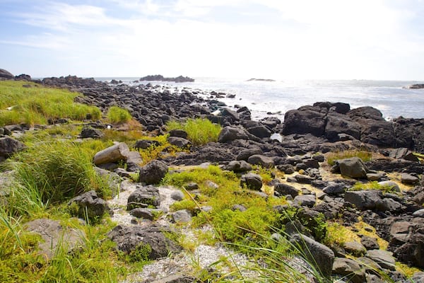 Playa Ucluelet Big Beach que incluye litoral accidentado