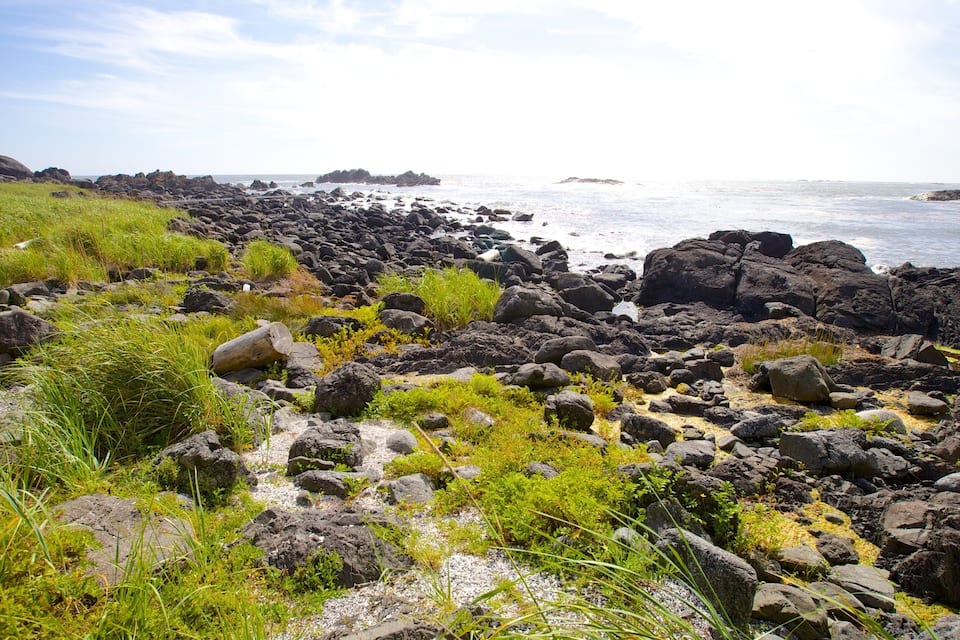 A rocky coastline with green vegetation and the ocean in the background.