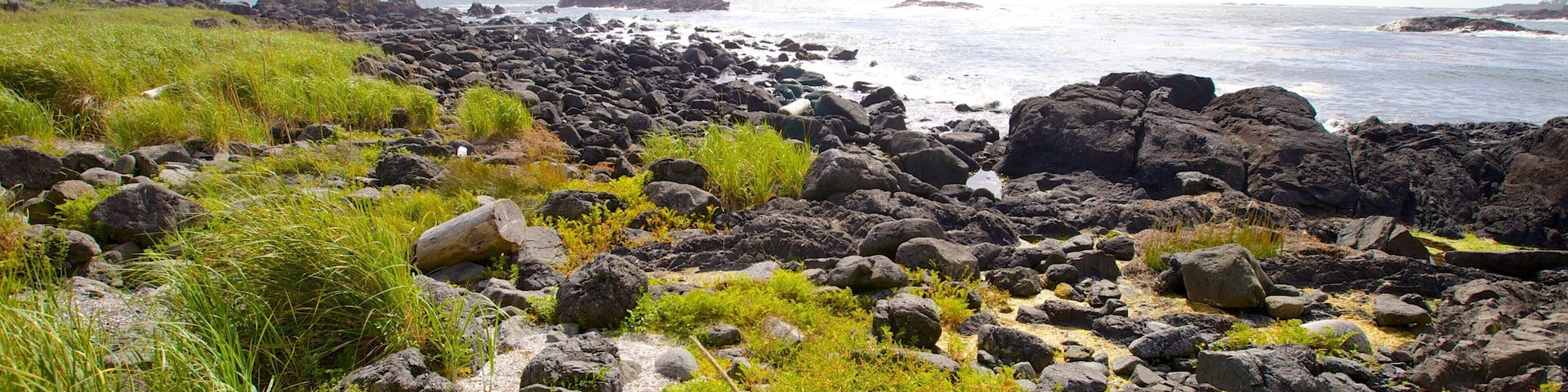 Ucluelet Big Beach showing rugged coastline