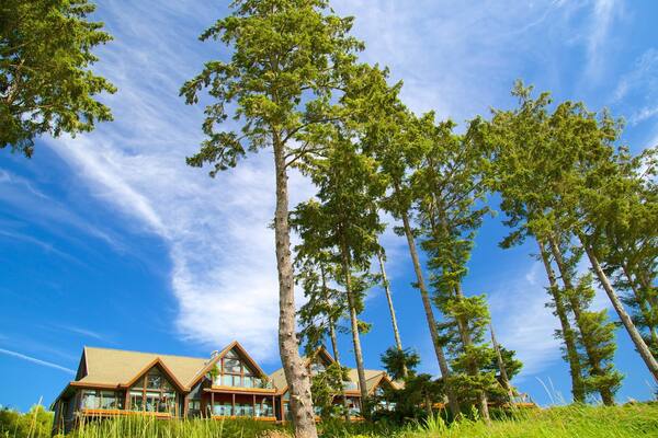 Playa Ucluelet Big Beach que incluye un hotel o complejo turístico de lujo y una casa
