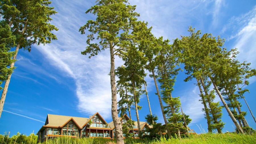Bãi biển Ucluelet Big trong đó bao gồm căn nhà và khách sạn sang trọng hoặc resort