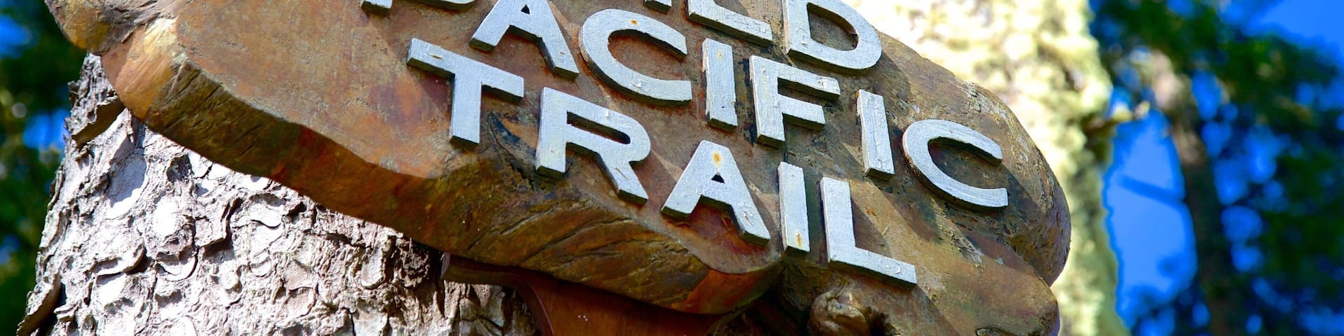 A wooden sign with the text "WILD PACIFIC TRAIL" attached to a tree.