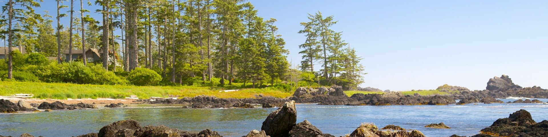 Ucluelet Big Beach showing a river or creek and a lake or waterhole