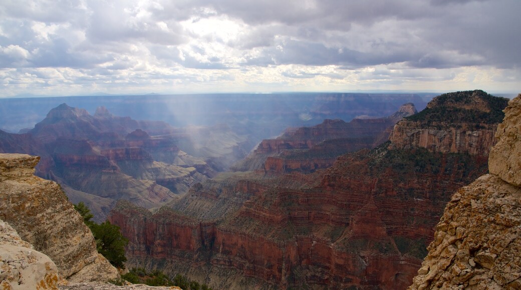 Enden av Bright Angel-turstien fasiliteter samt kløft eller juv og rolig landskap