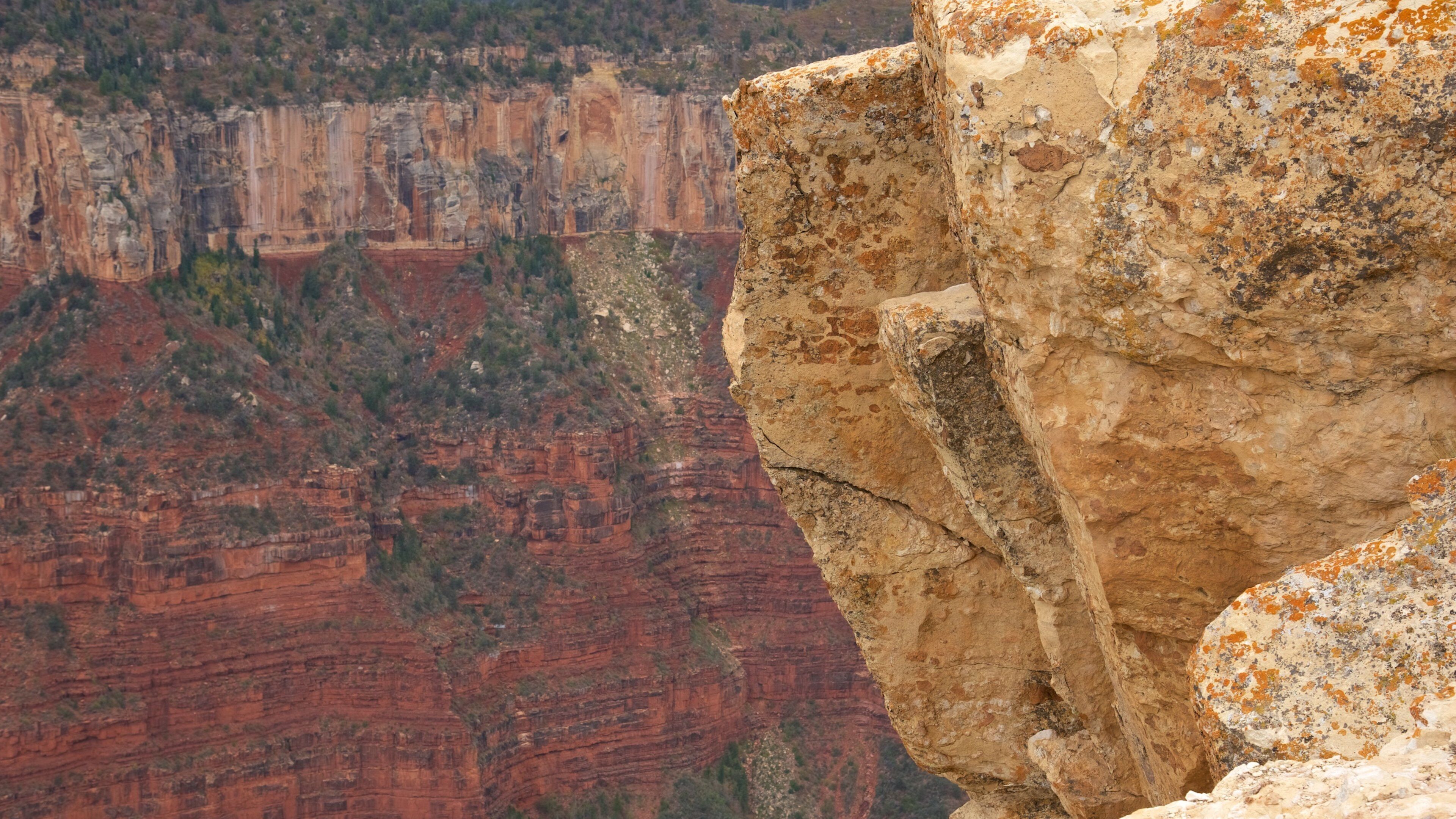 Bright Angel Trailhead