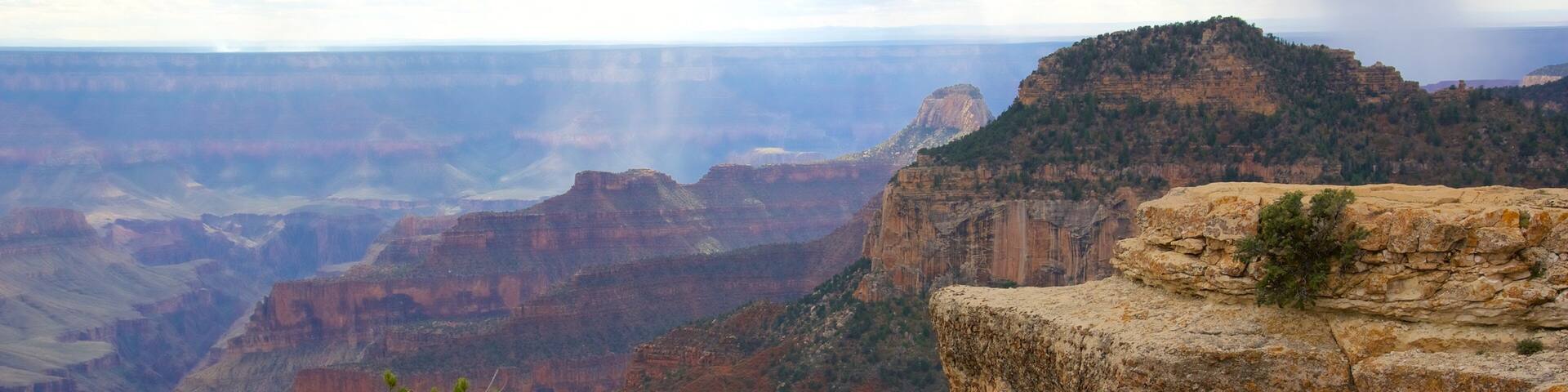 Bright Angel Trailhead showing a gorge or canyon and tranquil scenes