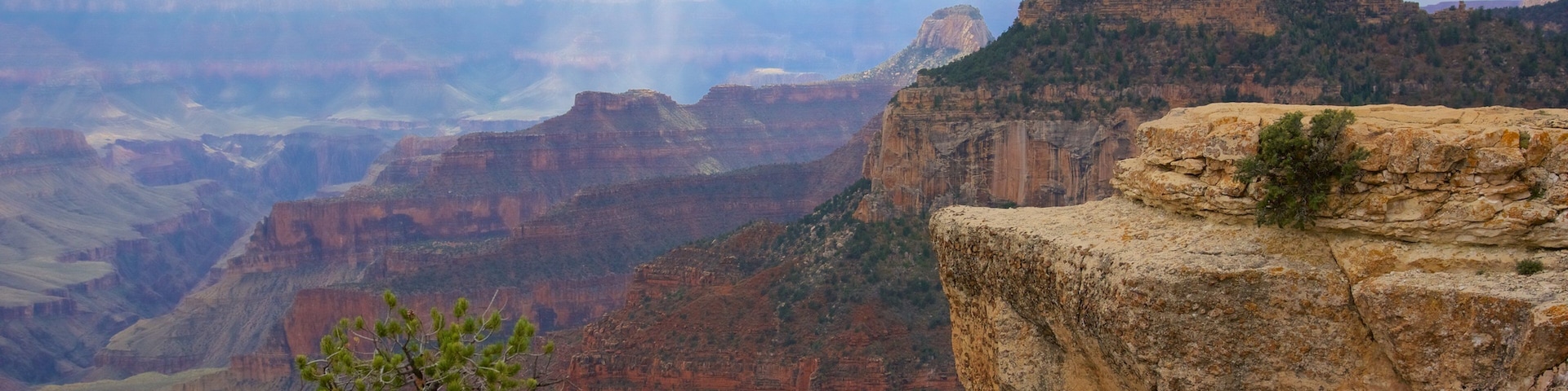 ๋ธ๋ผ์ด๋ ์์ ค ๊ธฐ์  ์ด ํฌํจ ํ์ ํ ํ๊ฒฝ ๊ณผ ๊ณ๊ณก ๋๋ ํ๊ณก