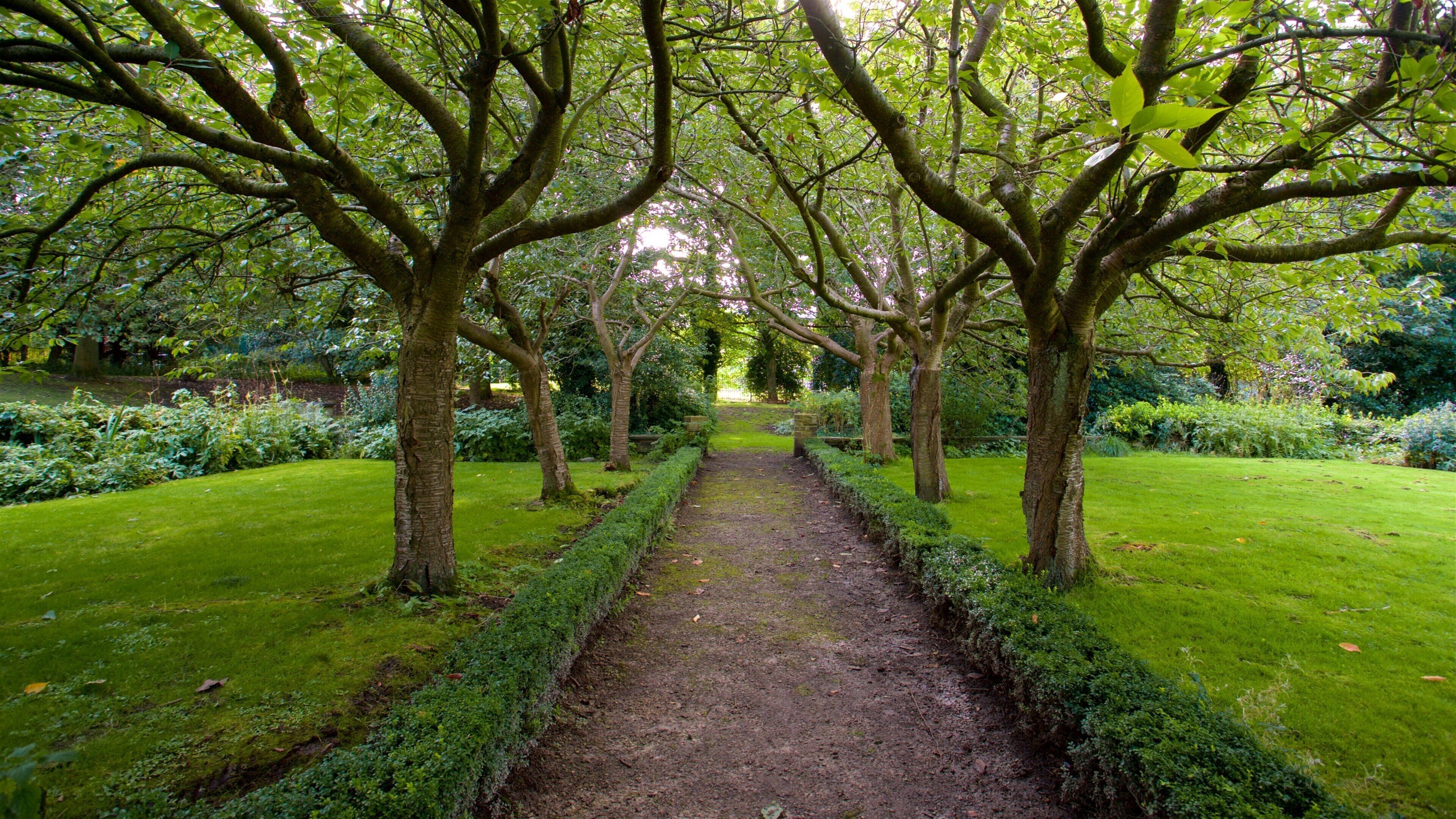 Bolling Hall Museum inclusief een park