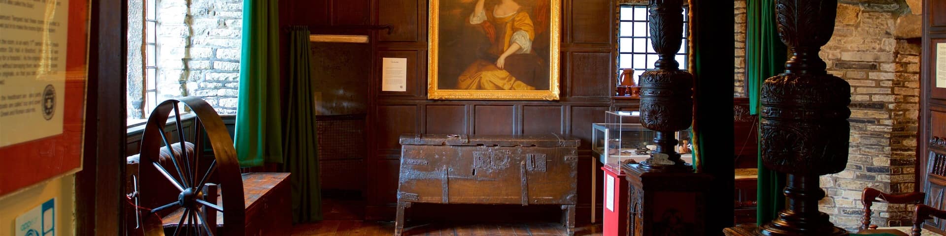 Bolling Hall Museum showing art, a house and heritage elements