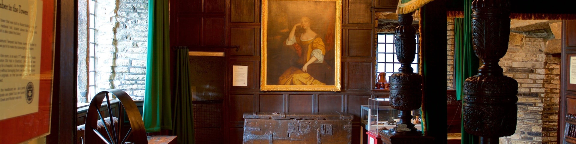 Bolling Hall Museum mostrando arte, elementos de patrimônio e uma casa