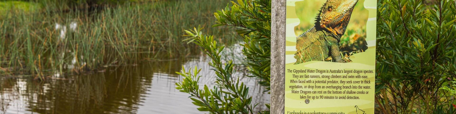 Señal sobre el dragón de agua de Gippsland cerca de una masa de agua con vegetación.