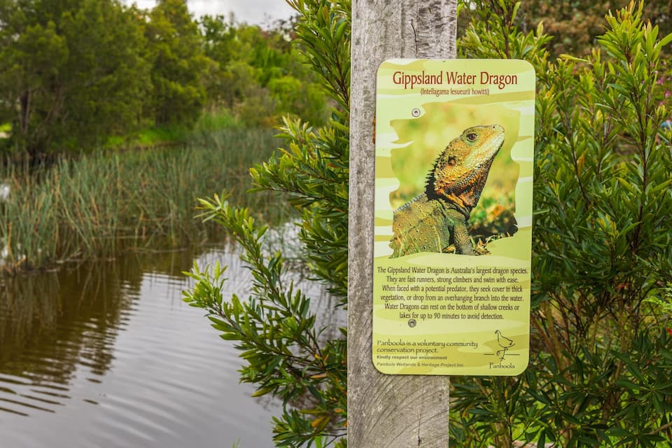 Señal sobre el dragón de agua de Gippsland cerca de una masa de agua con vegetación.