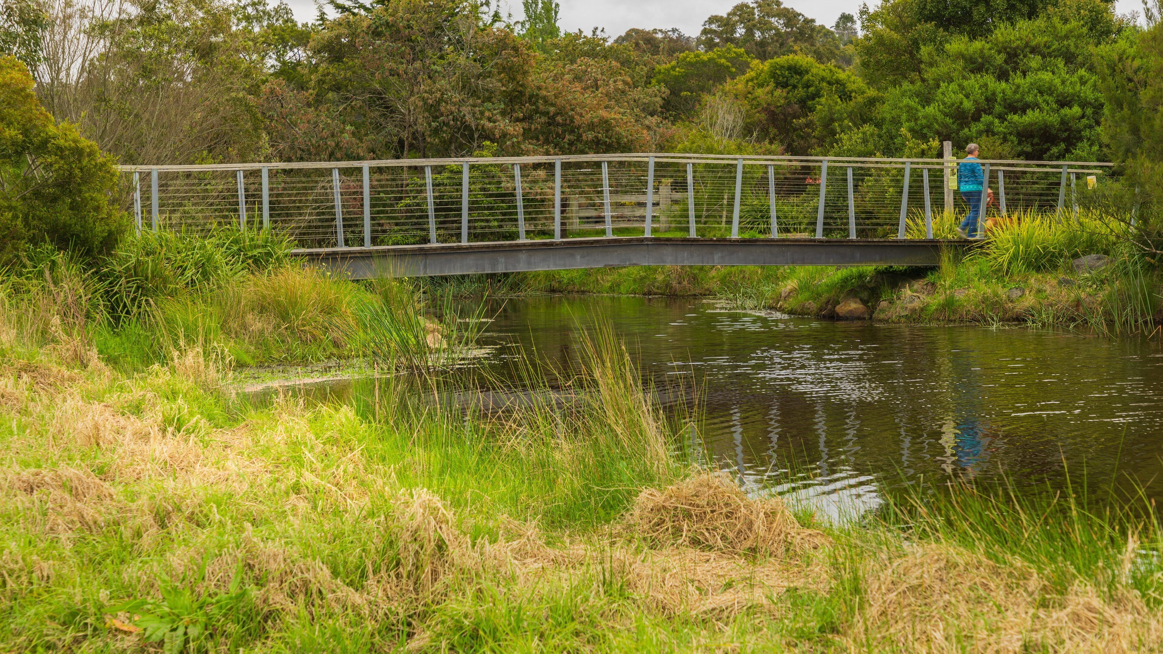 Panboola Wetlands and Heritage Project which includes a bridge and a pond