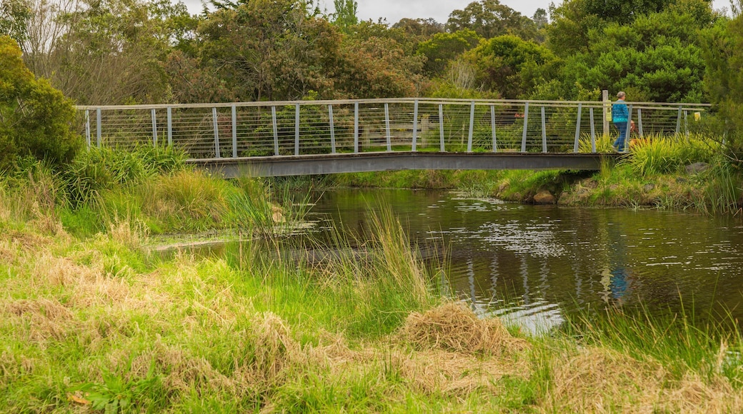 Panboola Wetlands and Heritage Project which includes a bridge and a pond