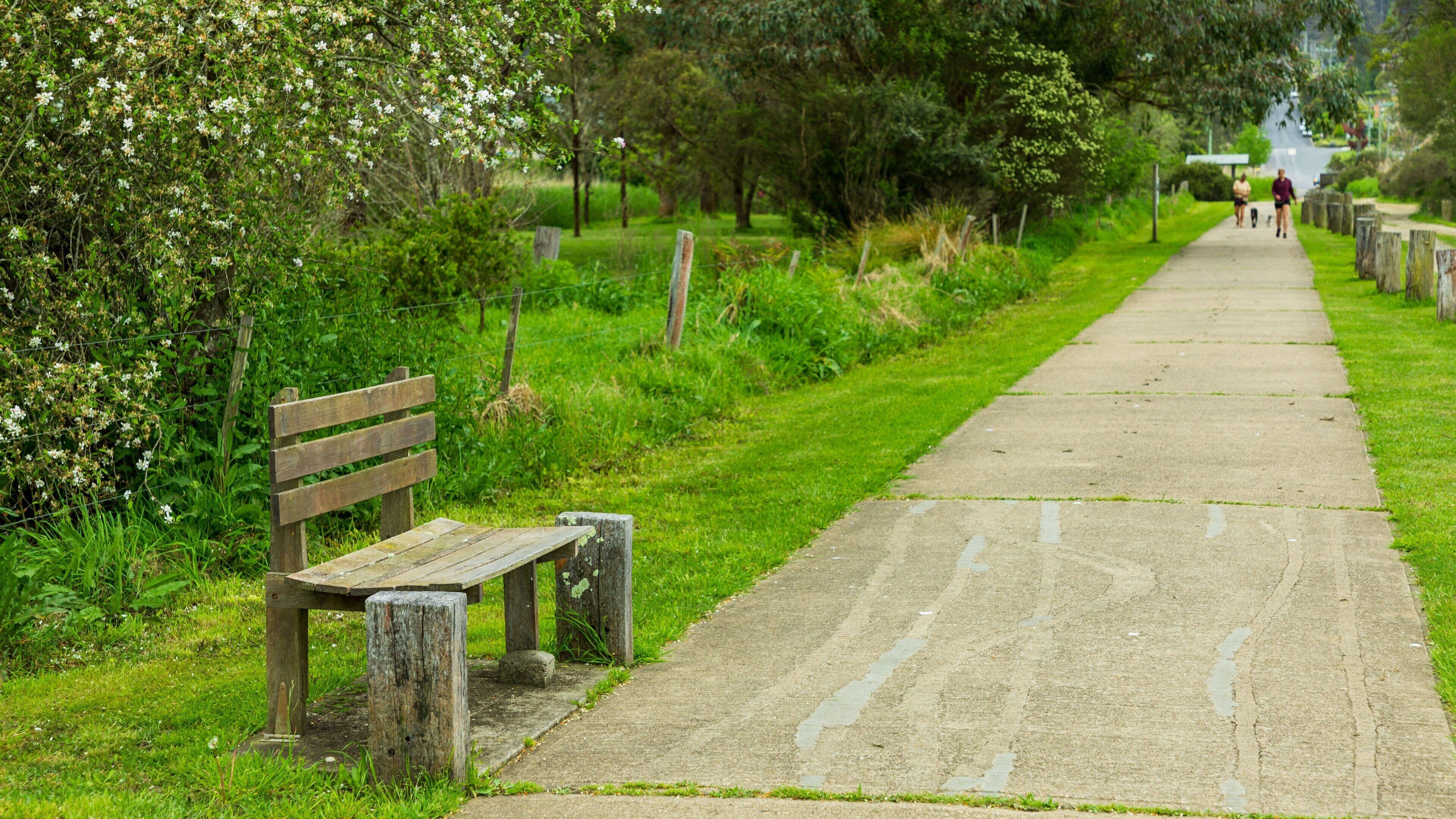 Panboola Wetlands and Heritage Project showing a park