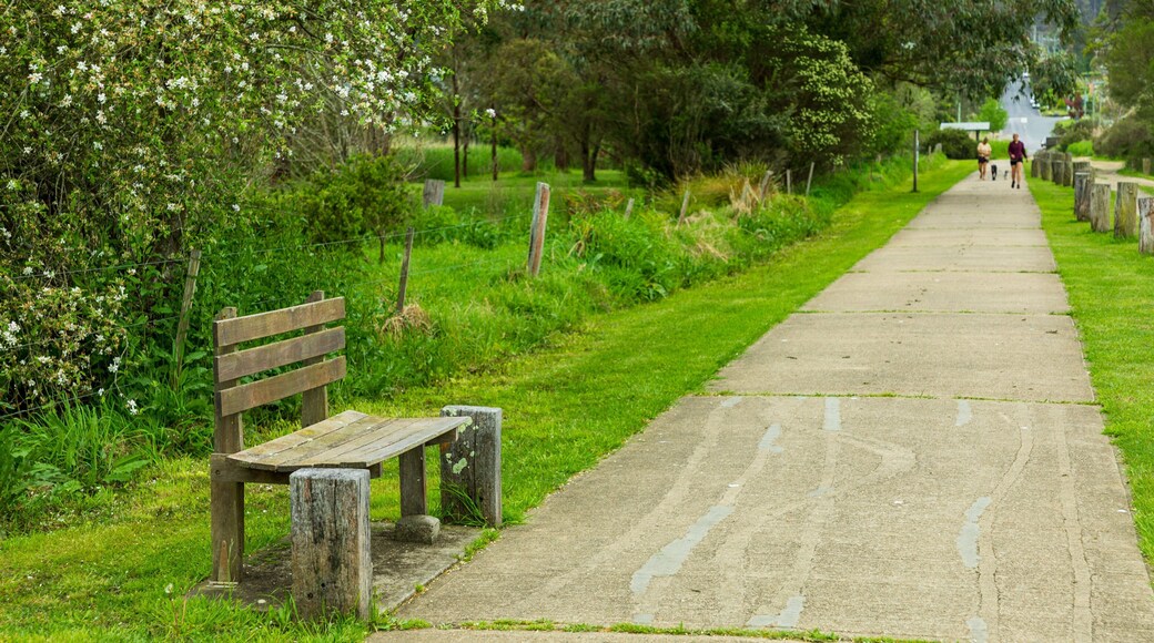 Panboola Wetlands and Heritage Project showing a park