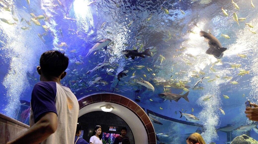 #Suphanburi #Waterworld
#Thailand #Backpacking #TravelPhotography