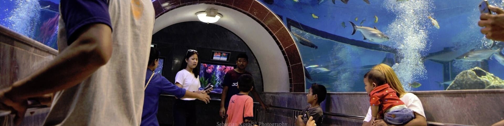 #Suphanburi #Waterworld
#Thailand #Backpacking #TravelPhotography