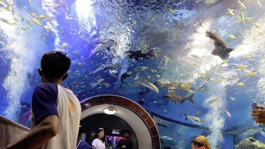 #Suphanburi #Waterworld
#Thailand #Backpacking #TravelPhotography