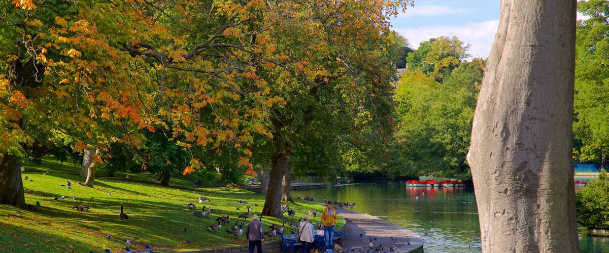 Lister Park featuring bird life, a pond and a park