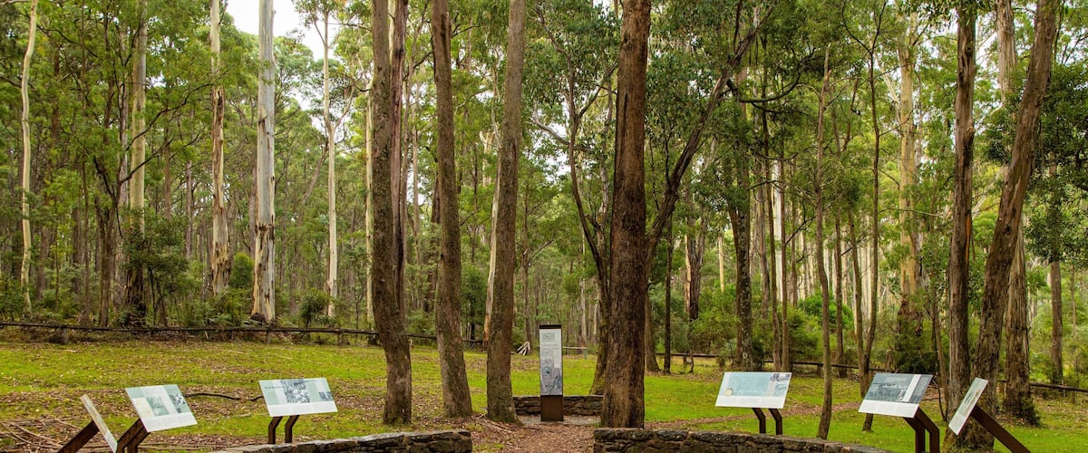 A stone amphitheater surrounded by trees with informational signs.