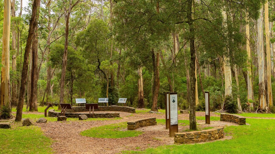 Stringybark Reserve which includes a park and signage